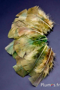 Kalkoen - 6-8 cm - olijf-kerrie